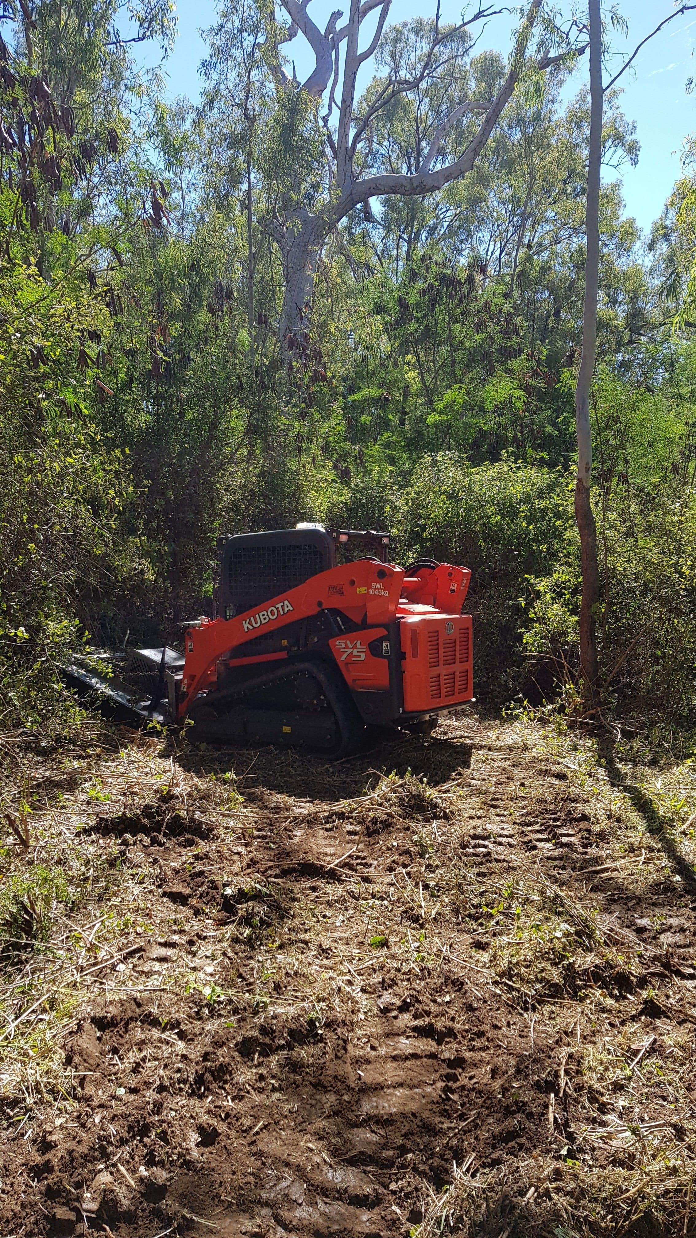 Dam Building, Dam Repair